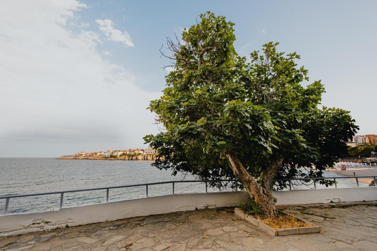 Miletia Suites Sozopol Ngoại thất bức ảnh